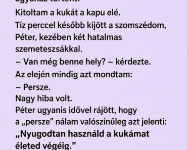 A szomszédom két éve használta a kukámat – aztán egy hétfő reggel meglepetés várta