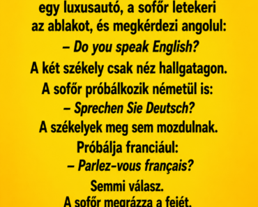 Két székely ül a kerítésen, és nézik a falun átmenő utat.
