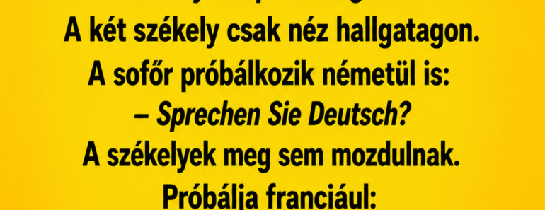 Két székely ül a kerítésen, és nézik a falun átmenő utat.