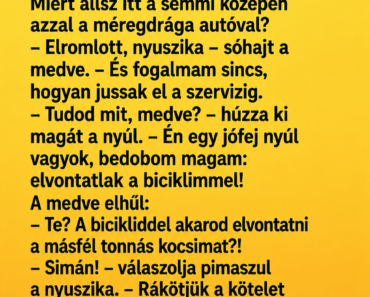 Megy a nyuszika a tisztáson, meglátja a medvét, aki egy vadonatúj sportkocsival áll a fák között.