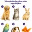 🐾 Melyik háziállatot vinnéd haza azonnal? Válaszod elárulja, milyen ember vagy valójában
