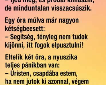 A nyuszika megy az erdőben, és leesik egy mély gödörbe.