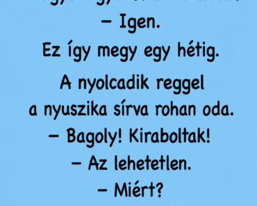 A nyuszika minden este megkérdezi a baglyot: