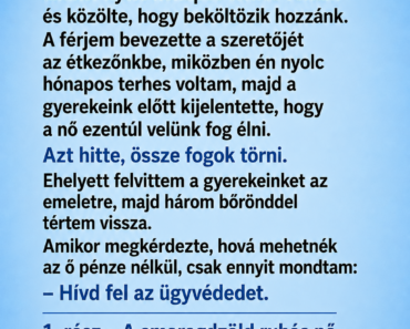 A férjem úgy gondolta, hogy a terhesség, a két gyermek, a munka és a pénzügyi függőség garantálja, hogy soha nem hagyom el. Aztán hazahozta a szeretőjét, és közölte, hogy beköltözik a vendégszobába.