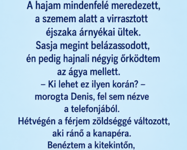 – Lányom, te 400 ezret kapsz! Miért nézel ki ilyen rosszul és elhanyagoltan? — a szülei megdöbbentek, amikor megtudták az igazságot.