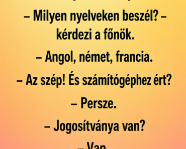 Tarzan bemegy egy állásinterjúra Budapesten.