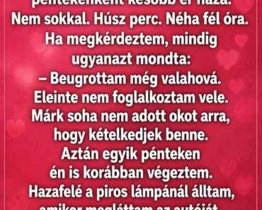 ❤️ A férjem minden pénteken ugyanannál a virágárusnál állt meg. Azt hittem, tudom, kinek viszi a virágot