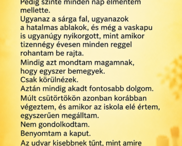 Harminc év után visszamentem a régi iskolámba – a portás egy megsárgult borítékot adott át