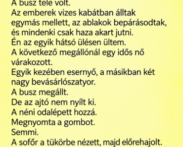A buszsofőr nem nyitotta ki az ajtót egy idős nőnek – tíz perccel később már mindenki értette, miért