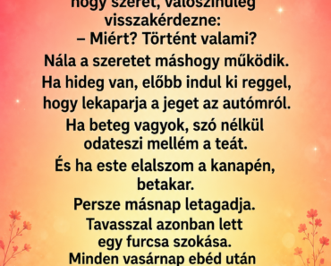 A férjem minden vasárnap levitt egy üres széket a kertbe – csak hónapokkal később tudtam meg, kinek tartogatta