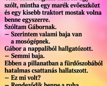 😂 A férjem azt mondta, öt perc alatt megjavítja a mosógépet – amikor egy óra múlva benéztem, a szomszéd is a fürdőszobában térdelt