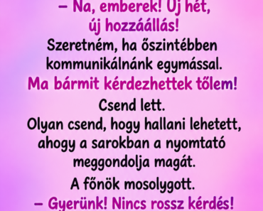 😂 A főnököm azt mondta, ma bármit kérdezhetek tőle – tíz perccel később már bánta az egészet