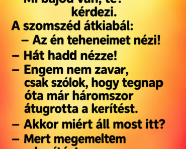 A gazda észreveszi, hogy a bikája egész nap a kerítésnél áll.