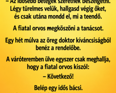 A kisváros régi háziorvosa nyugdíjba megy, és átadja a rendelőt egy fiatal doktornak.