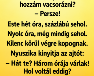 A nyuszika találkozik a százlábúval az erdőben.