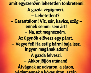 A pimasz cipőügynök