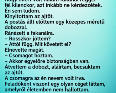 😂 A postás kétszer is visszajött ugyanazzal a csomaggal – harmadszor már én kérdeztem meg, mi folyik itt