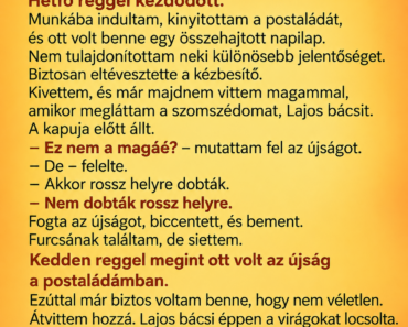 A szomszédom három napja az én postaládámba teszi a saját újságját – ma reggel megvártam