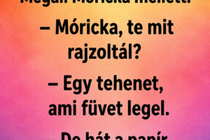 Móricka rajza