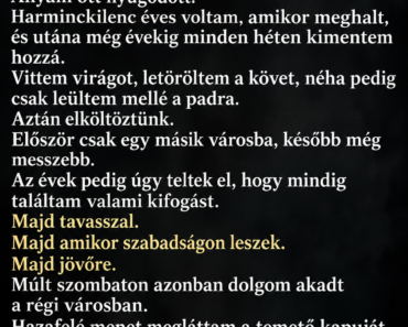 A temetőgondnok utánam futott, mielőtt kiléptem a kapun – egy nevet mondott, amit húsz éve nem hallottam