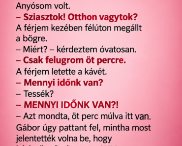 😂 Anyósom azt mondta, csak öt percre ugrik fel – a férjem azonnal elkezdte elrejteni a fél lakást