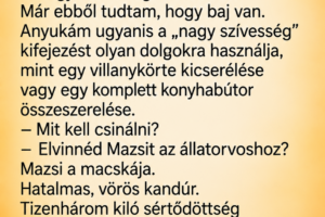 Anyukám megkért, hogy vigyem el a macskáját az állatorvoshoz – csak a rendelőben derült ki, hogy egy apró részletet elfelejtett közölni