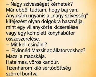 Anyukám megkért, hogy vigyem el a macskáját az állatorvoshoz – csak a rendelőben derült ki, hogy egy apró részletet elfelejtett közölni