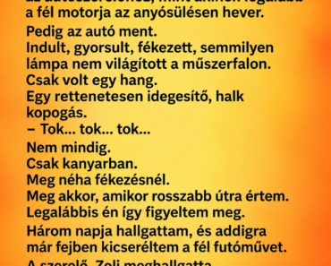 A szerelő azt mondta, semmi baja az autómnak – aztán megkért, hogy üljek be mellé, és megmutatta, miért nevet