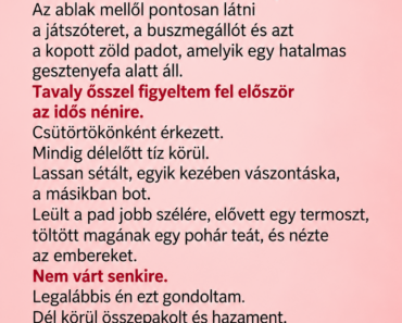Az idős néni minden csütörtökön ugyanarra a padra ült – egy reggel egy doboz várta ott