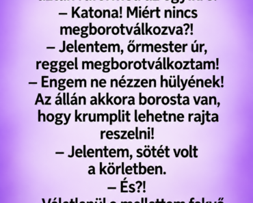 Az őrmester sorakozót rendel el a laktanyában. Az őrmester sorakozót rendel el a laktanyában.