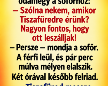 Egy férfi felszáll a távolsági buszra, majd odamegy a sofőrhöz: