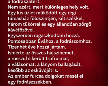 A fodrász félúton abbahagyta a hajamat, levette rólam a kendőt, és azt mondta: „Maga most velem jön.”