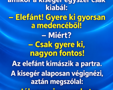 Egy kisegér és egy elefánt elmennek az uszodába.