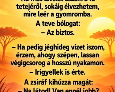 A zsiráf büszkén mondja: A zsiráf büszkén mondja: