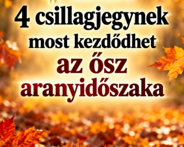 ✨ Ennek a 4 csillagjegynek most kezdődhet az ősz aranyidőszaka