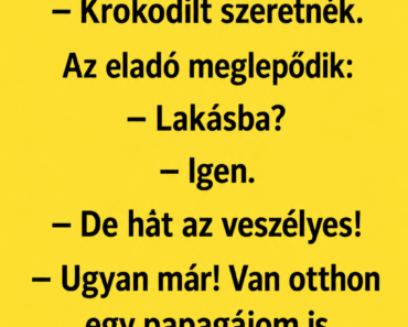Nyuszika bemegy az állatkereskedésbe. Nyuszika bemegy az állatkereskedésbe.
