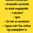 Nyuszika bemegy az állatkereskedésbe.