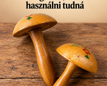 Régen kézről kézre járt a családban – ma már alig akad, aki használni tudná! Tudod mi ez?
