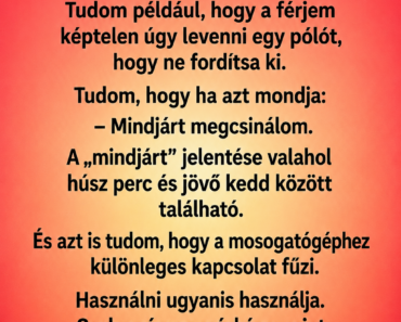 A férjem azt mondta, öt perc alatt bepakolja a mosogatógépet – amikor kinyitottam, rájöttem, hogy 14 éve teljesen rosszul ismerem ezt az embert