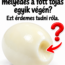 🥚 Miért van egy kis mélyedés a főtt tojás egyik végén? – Ezt érdemes tudni róla