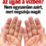 Miért lesz ráncos az ujjad a vízben? – Nem egyszerűen azért, mert megszívja magát